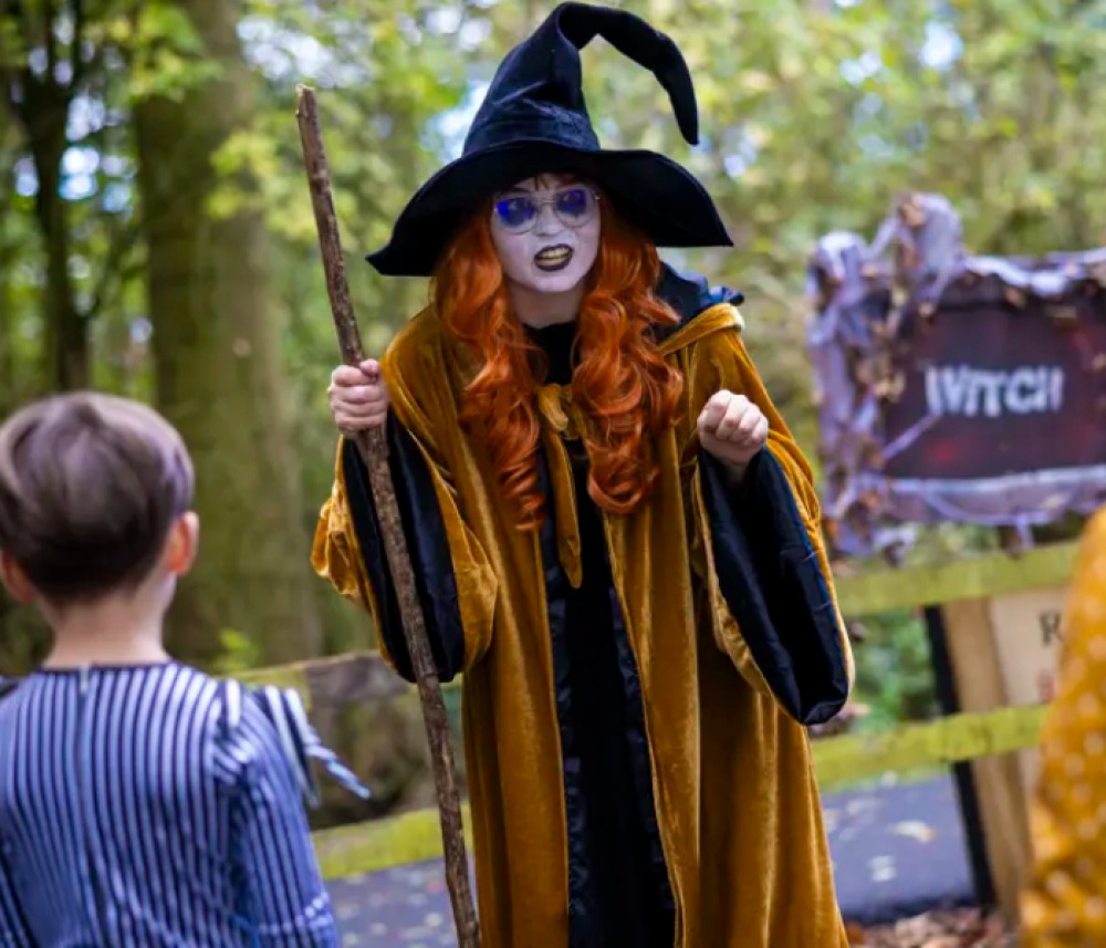 Halloween at Stockeld Park
