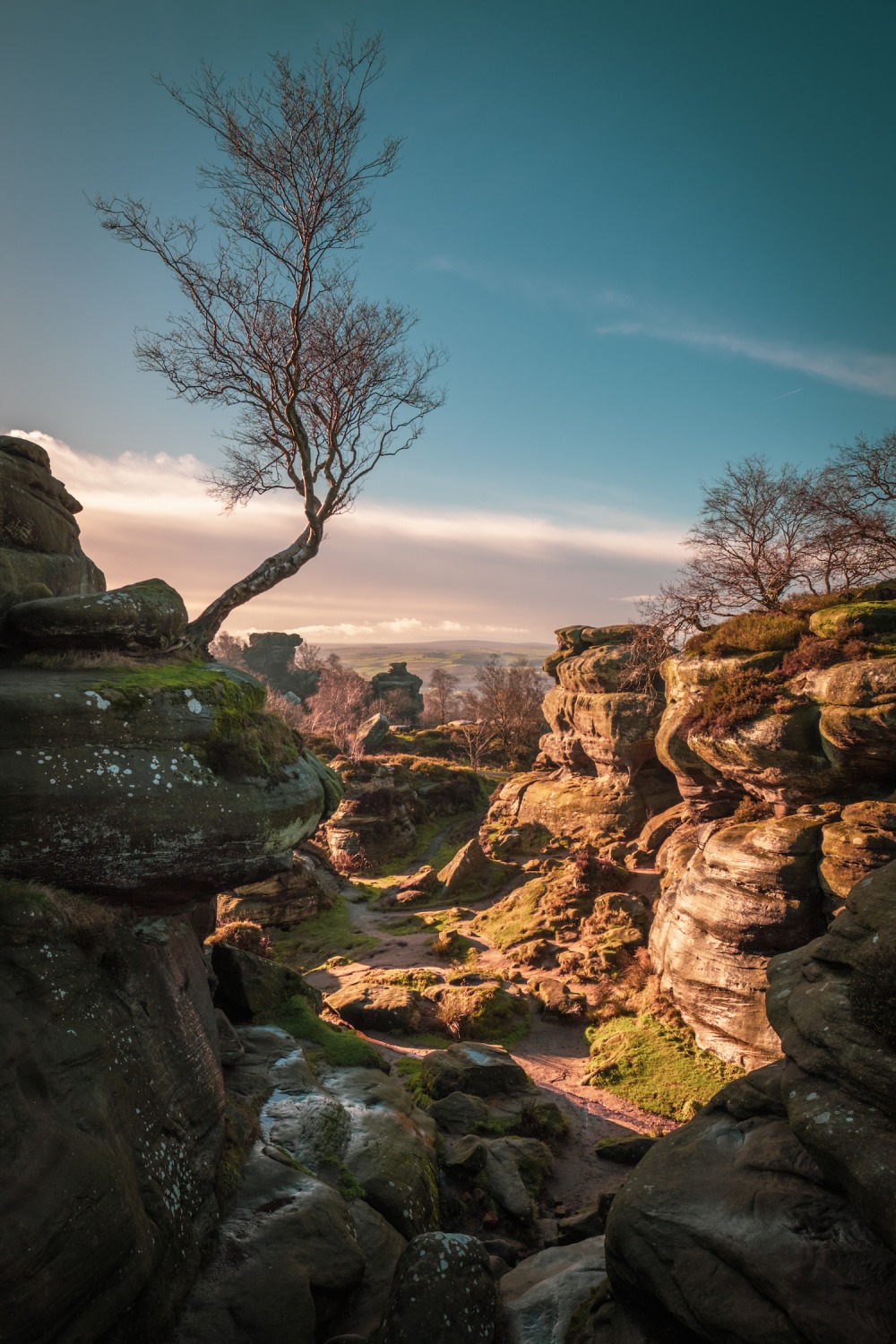Nidderdale