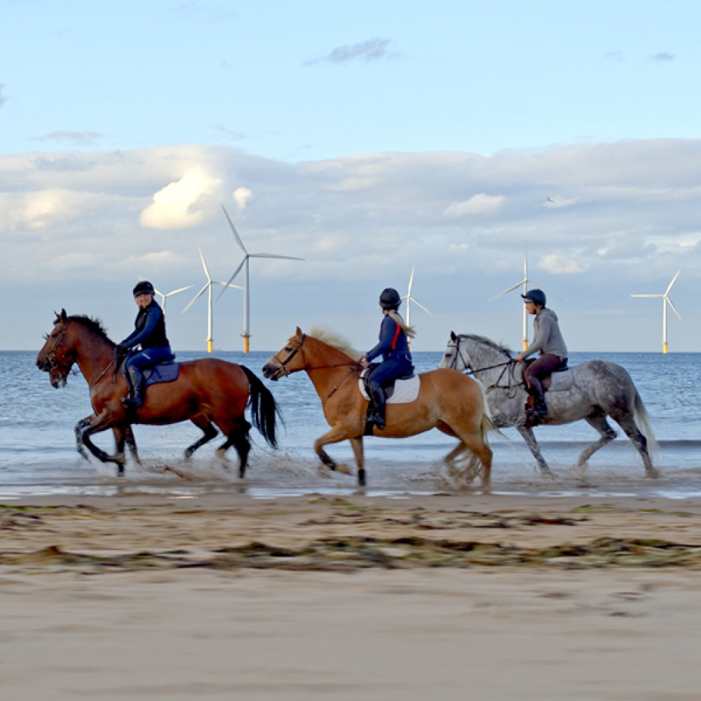 Horses gallop on Redcar beach