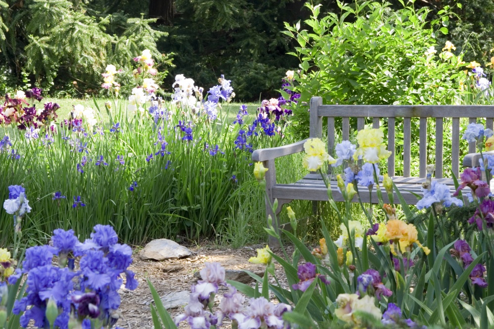 Spring Garden - Dreamstime.com