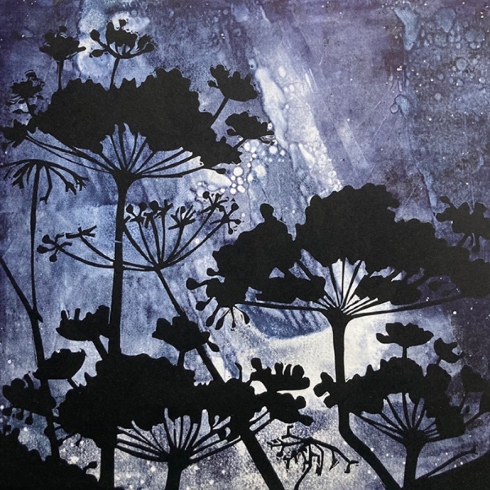 dark sky festival art
