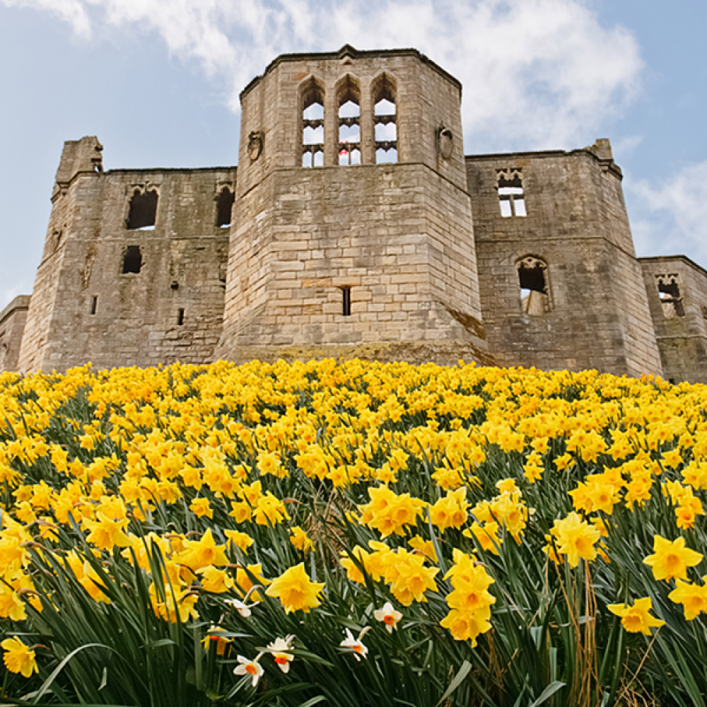Warkworth Castle