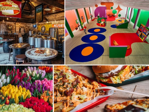 All the Things You’ll Want to Do This April