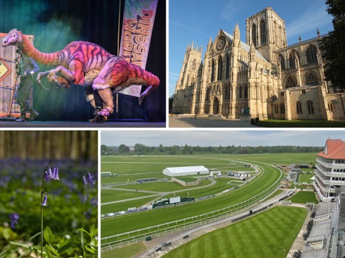 All the Ways You’ll Want to Spend Your Weekend