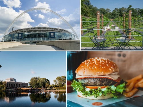 The Top Activities You’ll Want to Do This Weekend