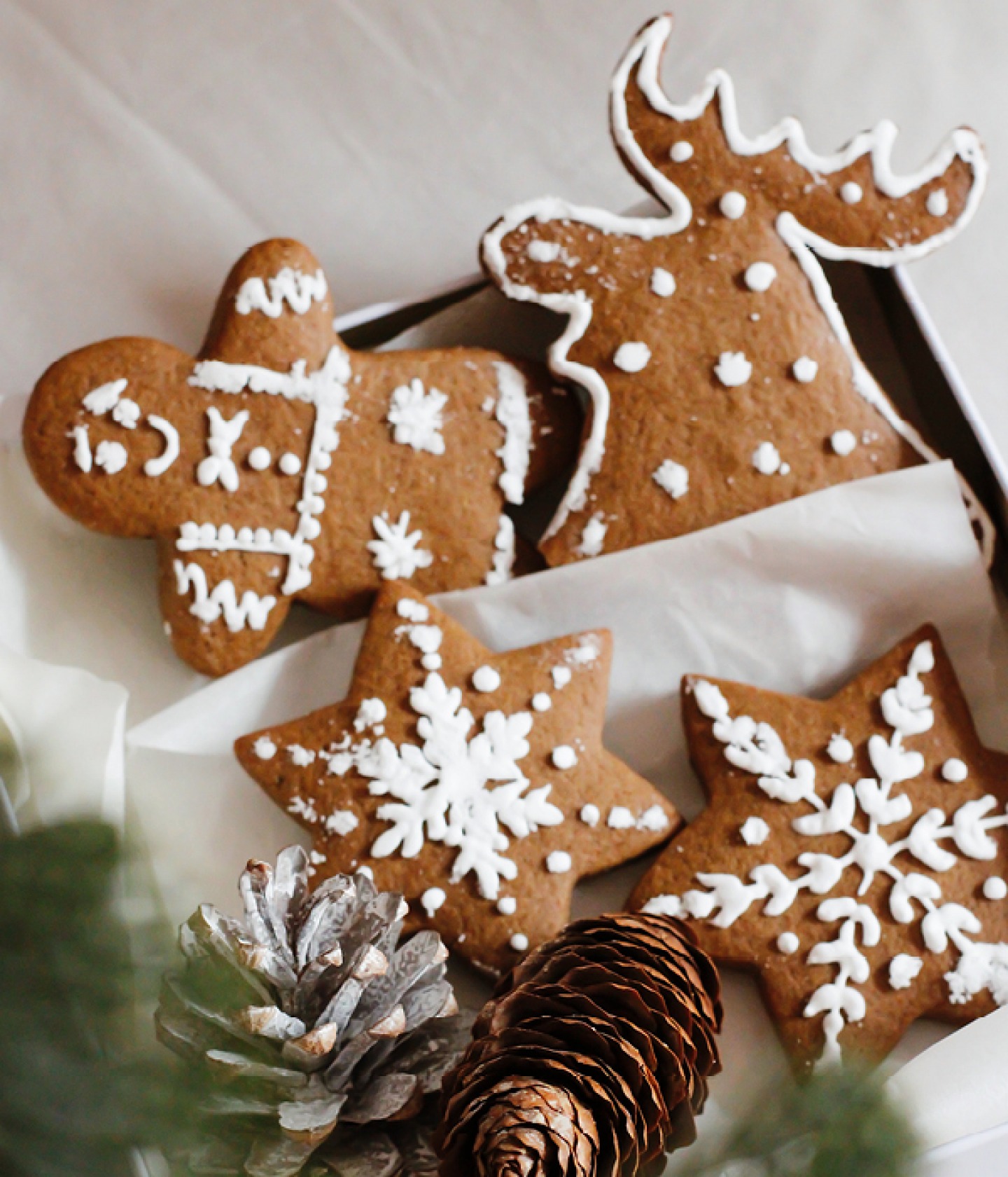 Living North Christmas Fair, Christmas Biscuits