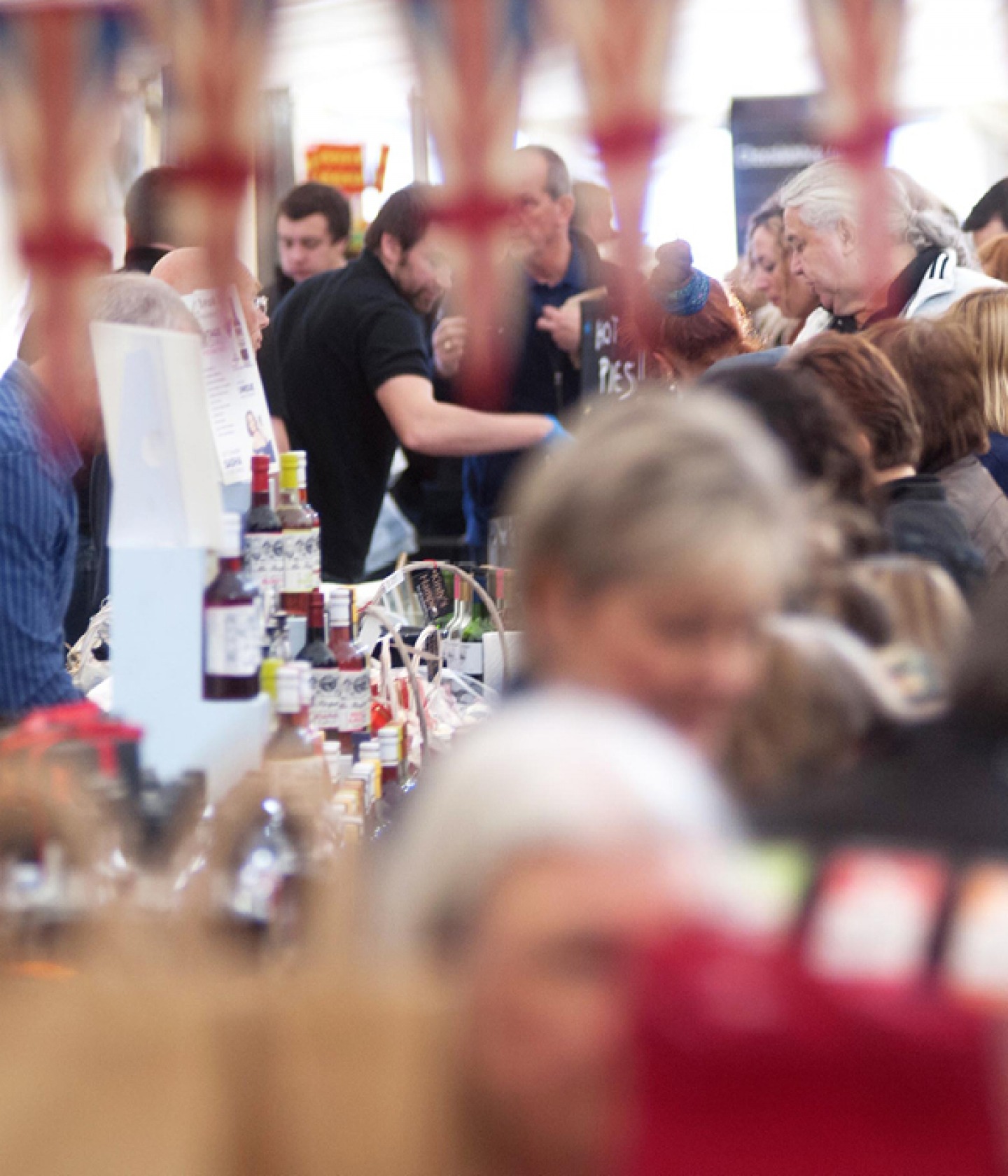 Living North Christmas Fair, Busy Crowd