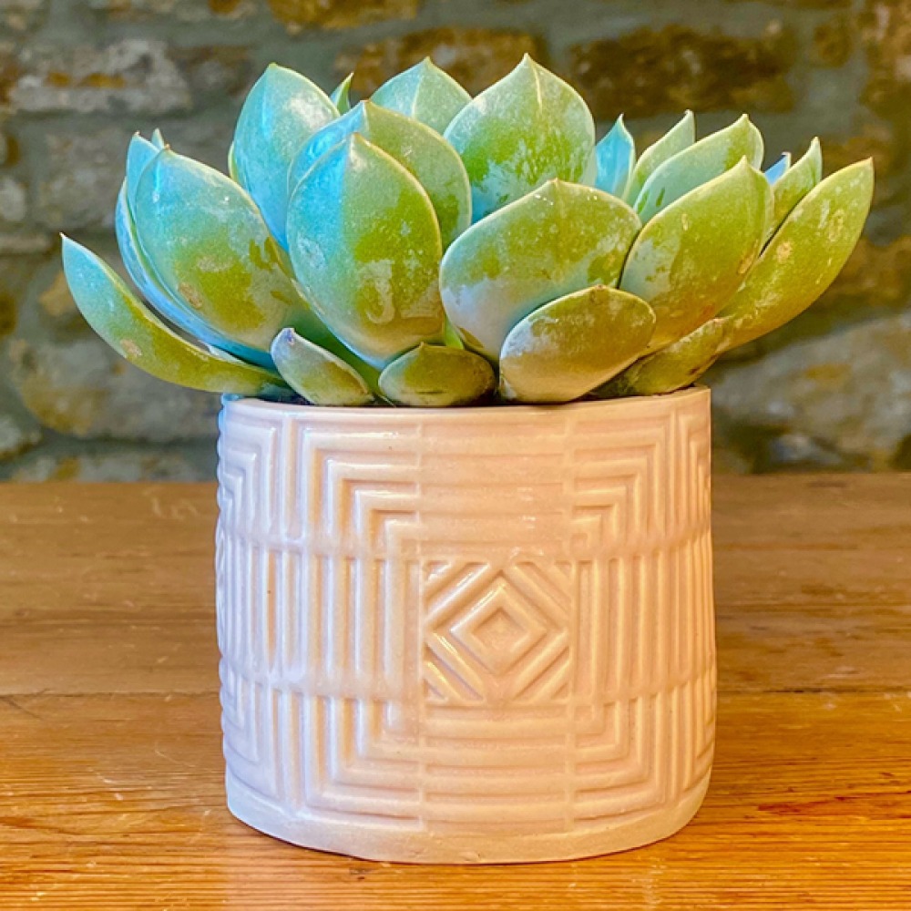 Ceramics Workshop