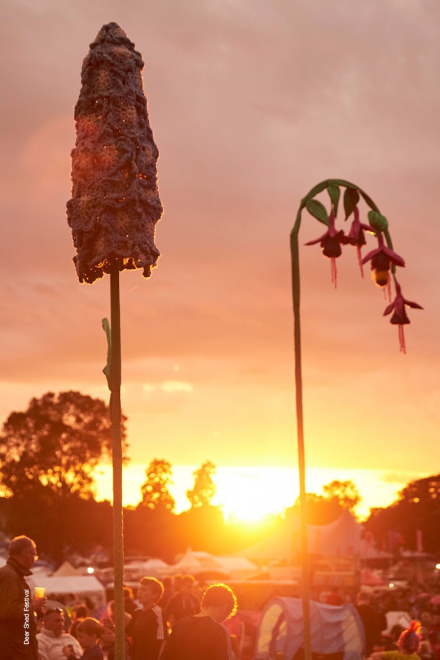Deer Shed Festival