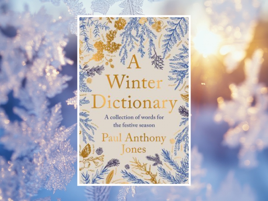 A Winter Dictionary Book Cover