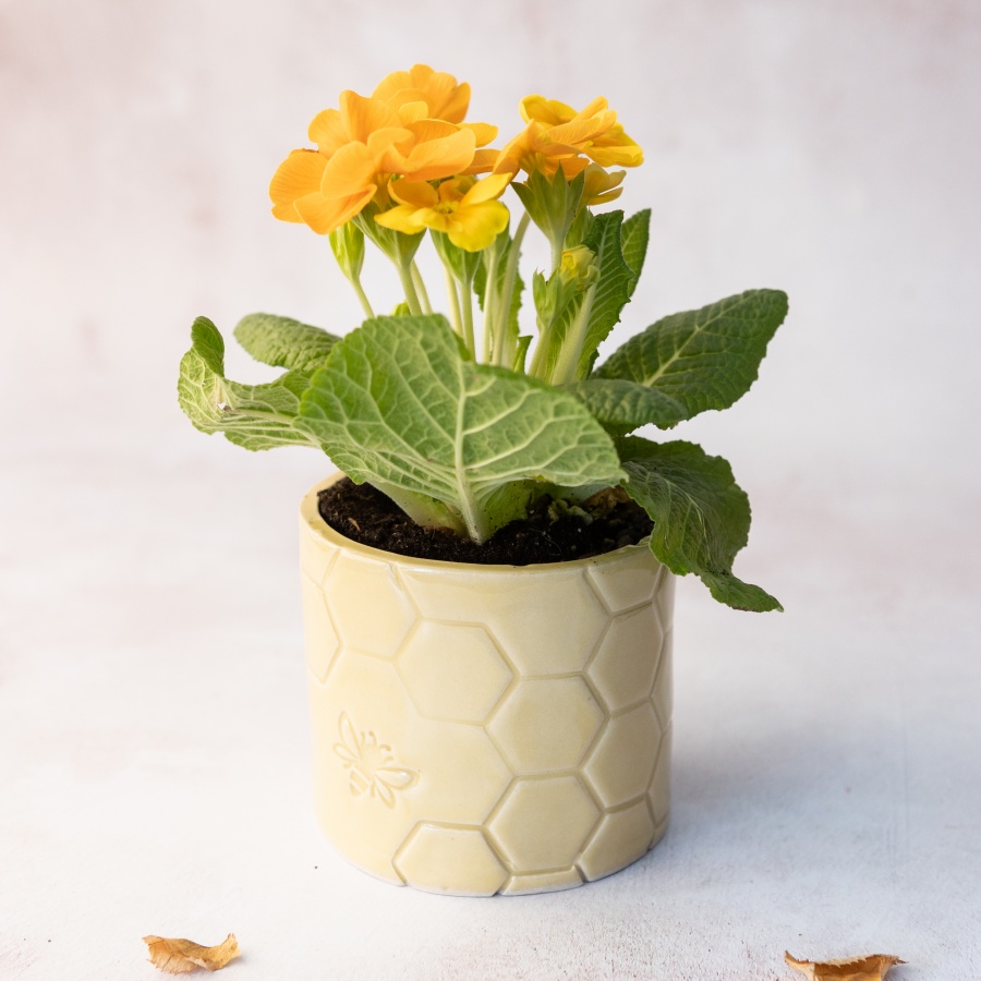 Amy Rutherford Ceramic Plant Pot