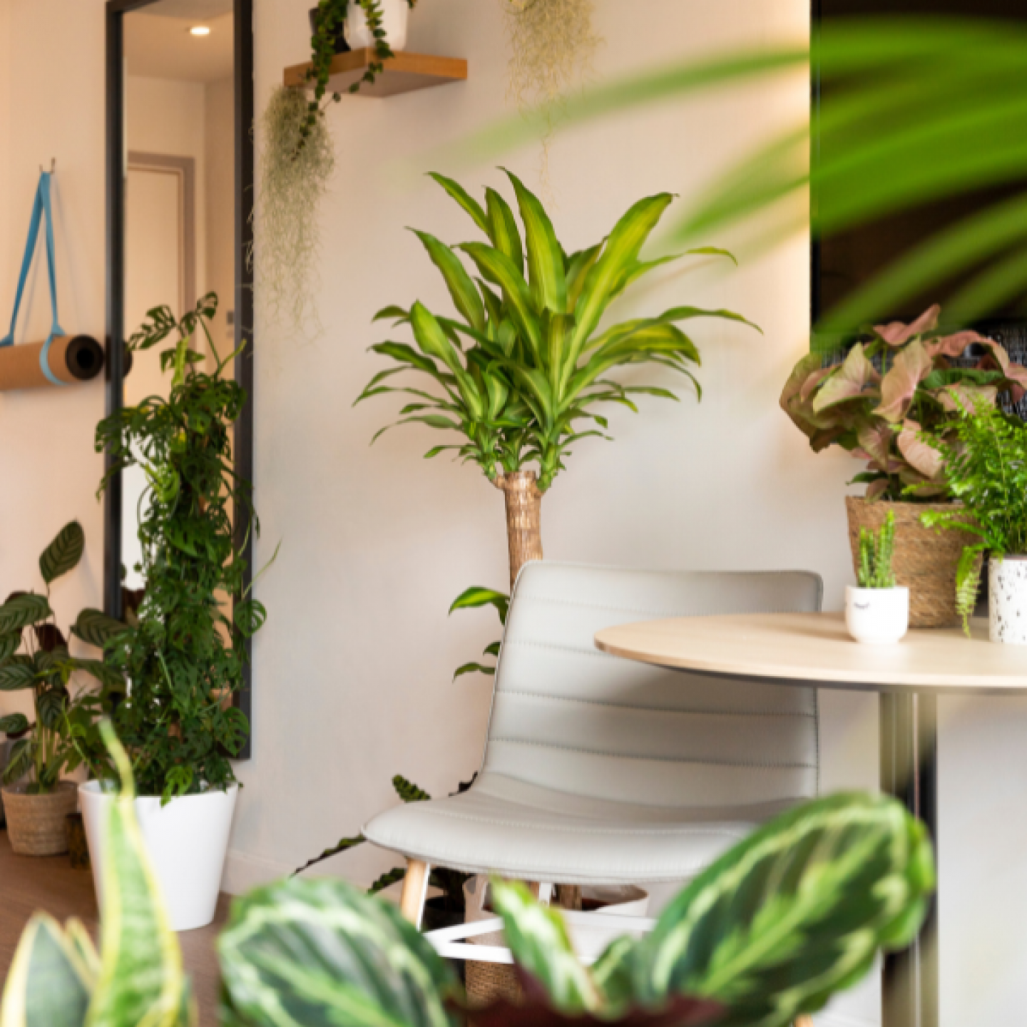 INNSiDE Quayside Botanical Room