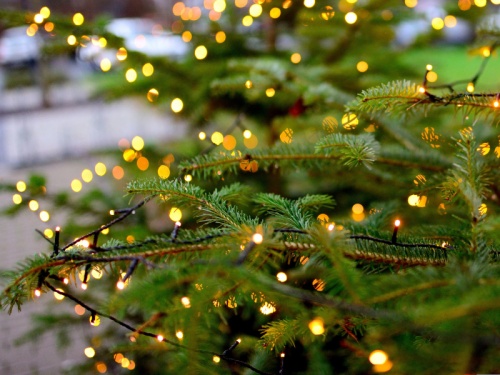 Christmas Tree, Cowell's