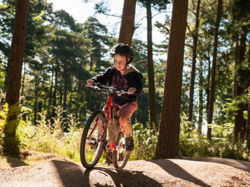 Cycling, Dalby Forest