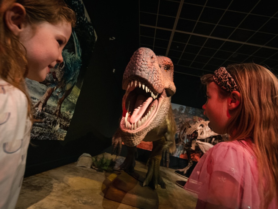 Dinosaur rEvolution