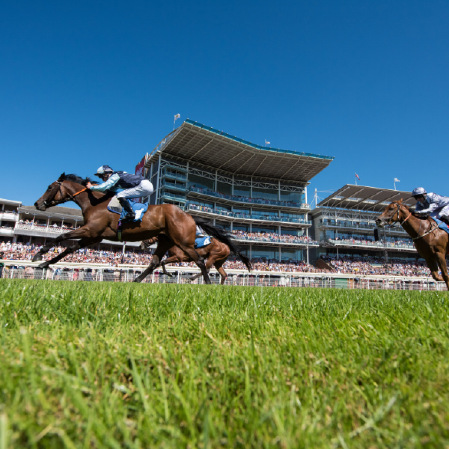 Ebor 2022