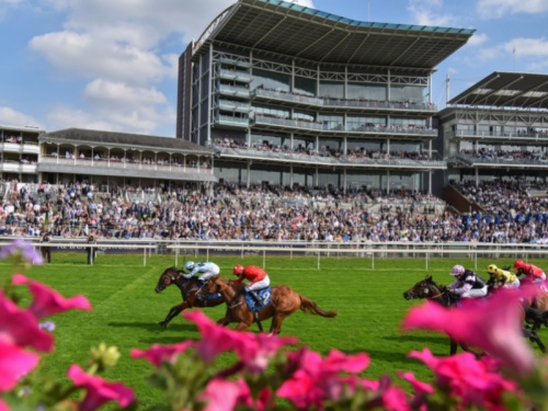 Juddmonte International at York Racecourse