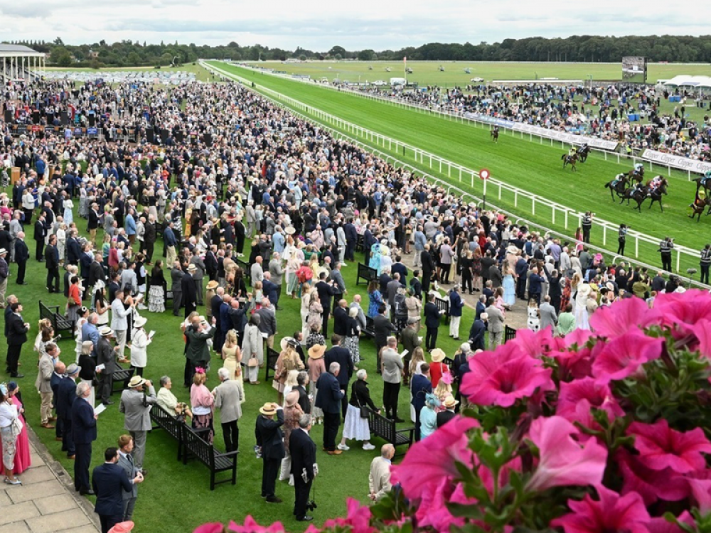 Ebor at York Racecourse