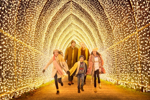 Cathedral of Light by Mandylights, My Christmas Trails 2020.GS. Photo by Richard Haughton © Sony Music