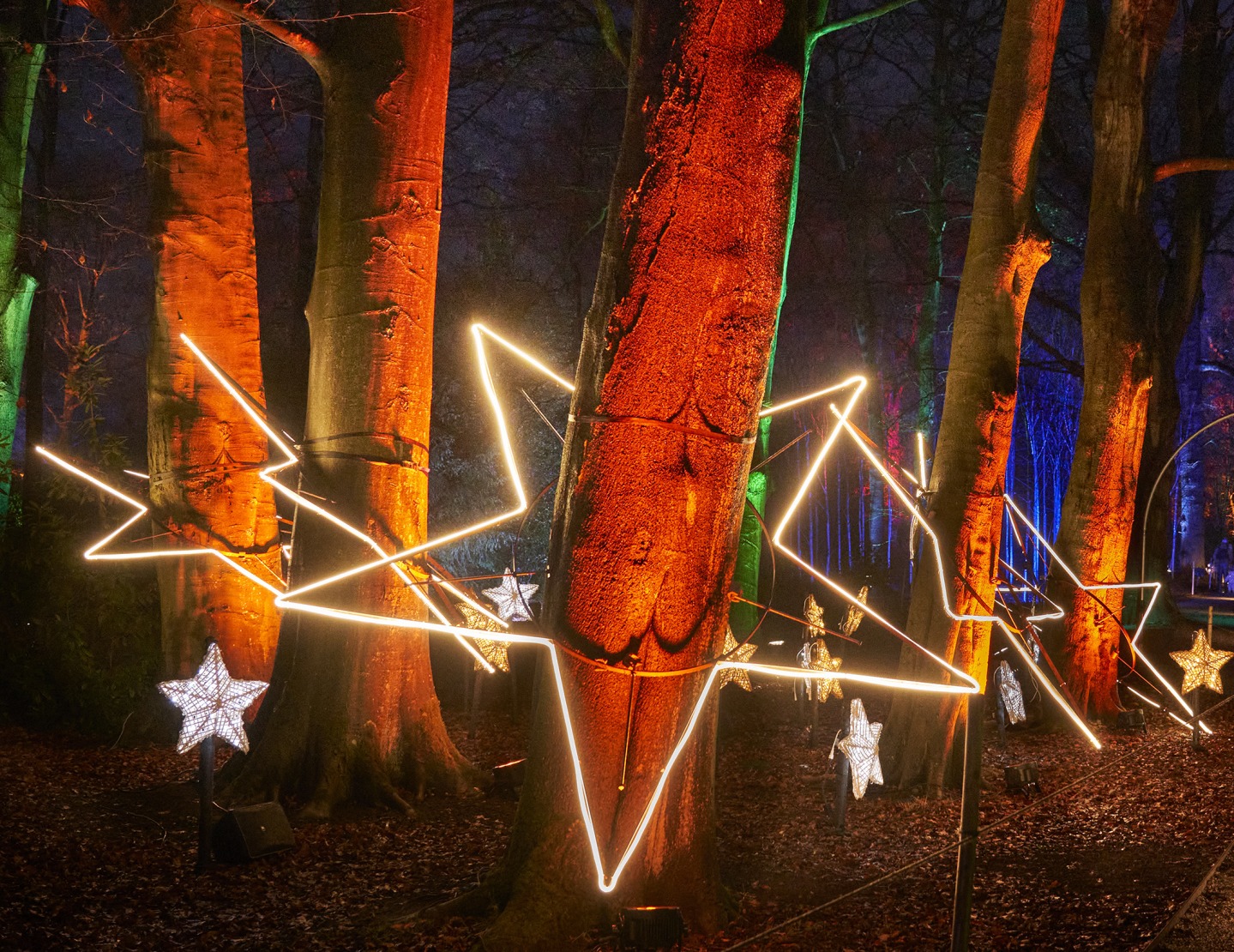 Tree Stars by Culture Creative, My Christmas Trails 2020. Photo by Richard Haughton © Sony Music.GS