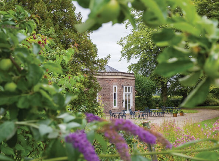 Hambleton Competition
