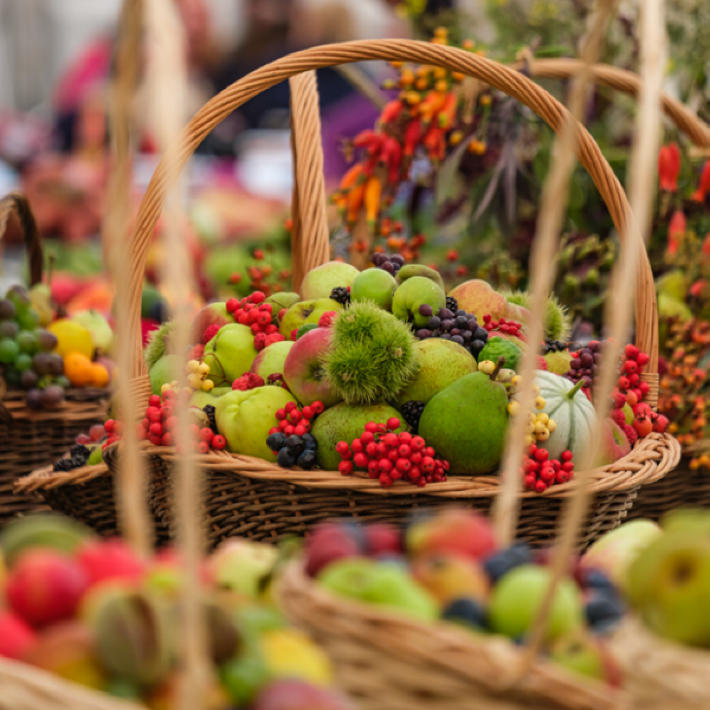 Baskets of Fruit