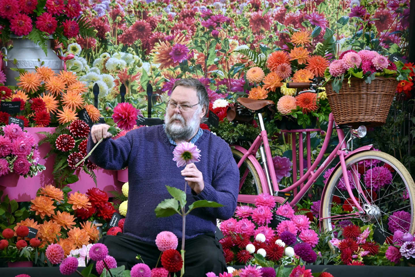 Exhibitor surrounded by a autumnal floral display with a bicycle prop