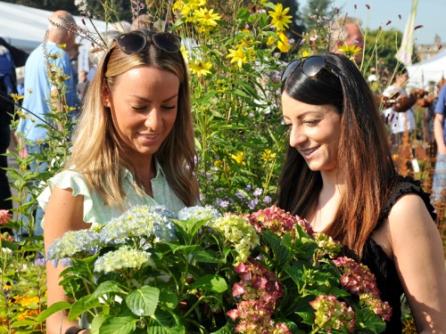 Harrogate Autumn Flower Show