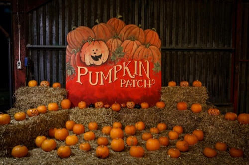 Family Fright Fest at Lintz Hall Farm, at Burnopfield