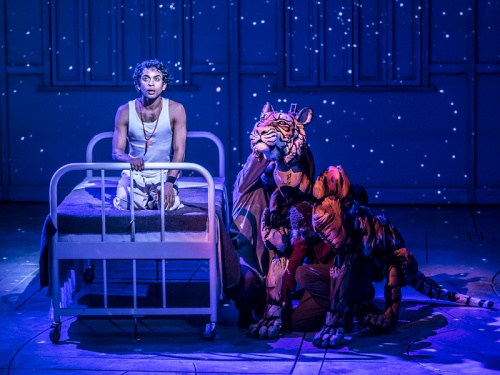 Life of Pi at Newcastle Theatre Royal