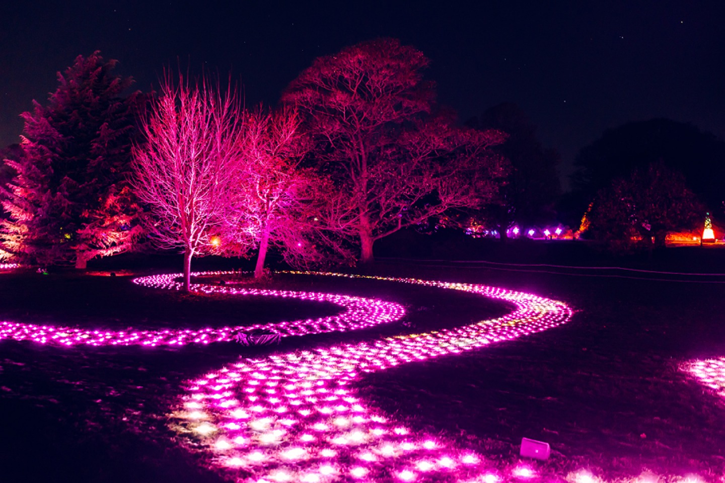 A lit up curving walk way through illuminated trees (River of Light)
