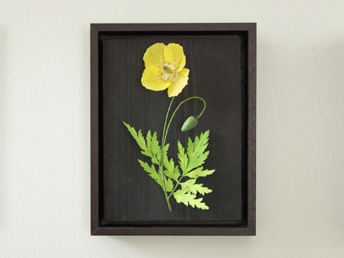 Win this Beautiful Handcrafted Paper Flower Art worth £250