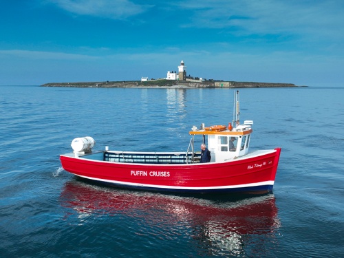 Win a Family Ticket for a Seal Watching Cruise to Coquet Island