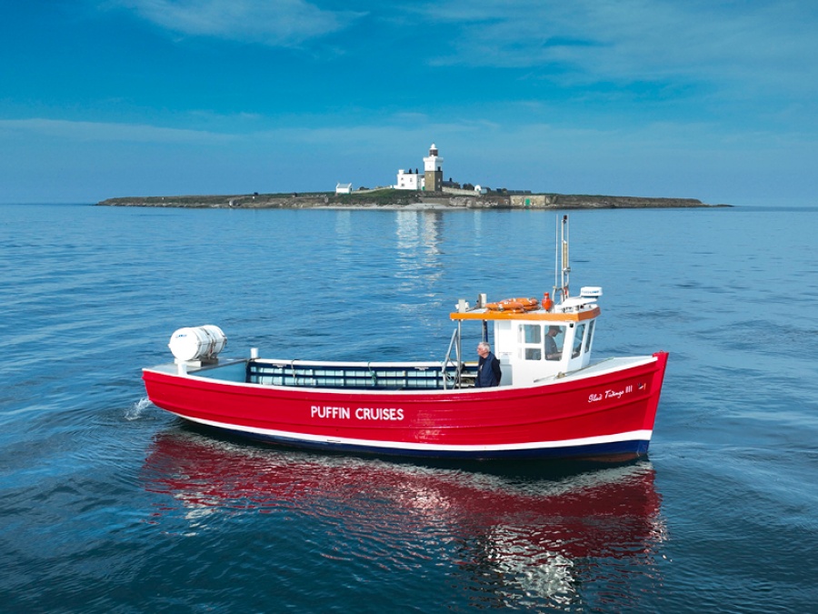 Win a Family Ticket for a Seal Watching Cruise to Coquet Island