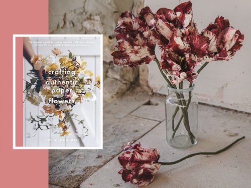 Image © Salty Lamb Photography