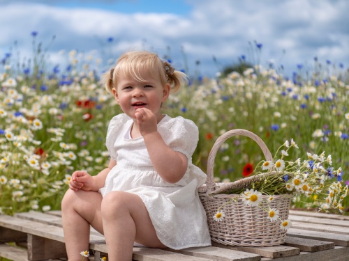 Win a Family Ticket to Spilmans Pick-Your-Own Experience near Thirsk