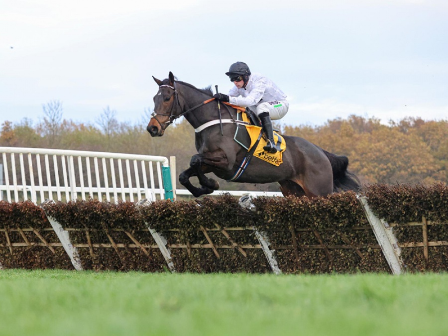 Horse Racing