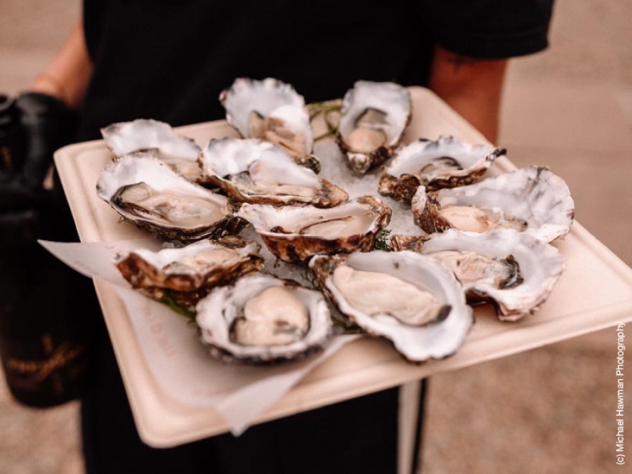 Win a Luxury Platter of Oysters from The O Co (c)Michael Hawman Photography