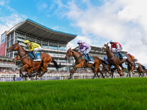 Horse Racing at York Racecourse