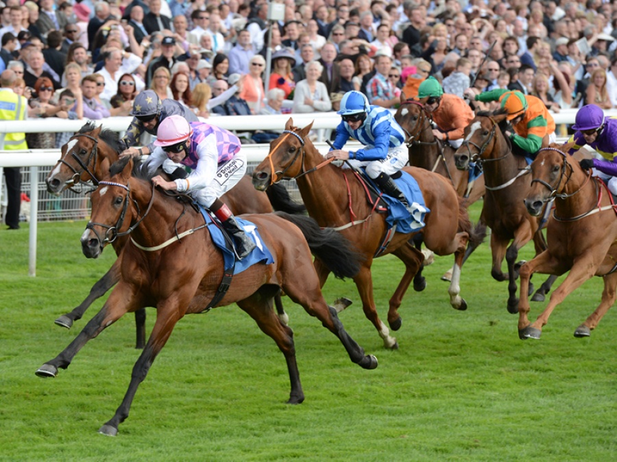 horse racing