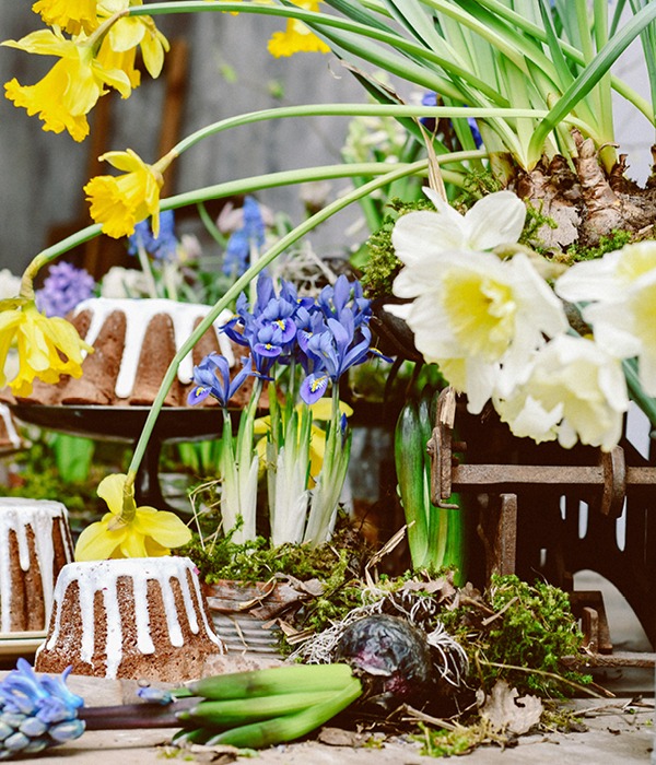 Join Our World... Sign up for our exclusive newsletter.